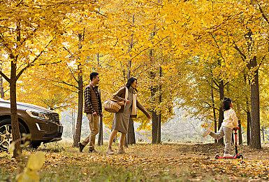 英伟达推出新驱动 利用AI增强《inZOI(云族裔)》体验