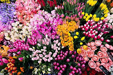 Rare已经开始规划《盗贼之海》未来5年的内容