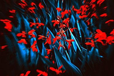 前WOW首席设计师新作《Arkheron》即将开测